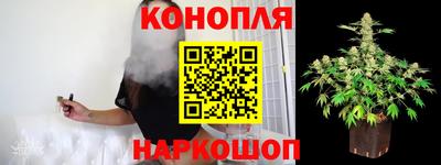 крисы Мариинск