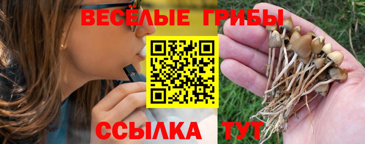 Галлюциногенные грибы GOLDEN TEACHER  Галлюциногенные грибы ЛСД  Вход с VPN  где найти   Урус-Мартан 