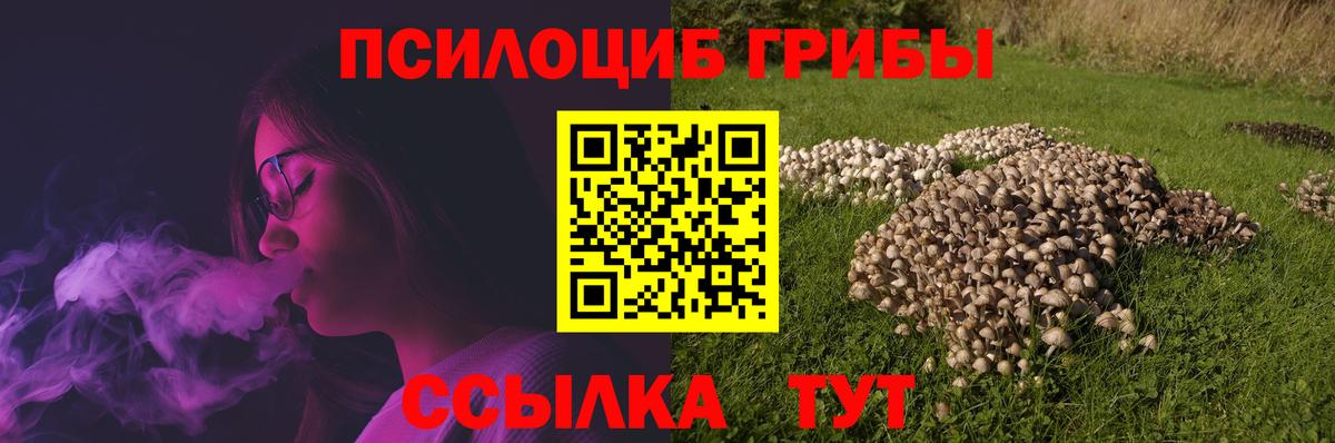 Псилоцибиновые грибы мухоморы Урус-Мартан