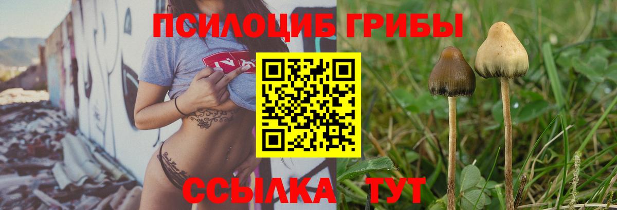 Псилоцибиновые грибы Урус-Мартан